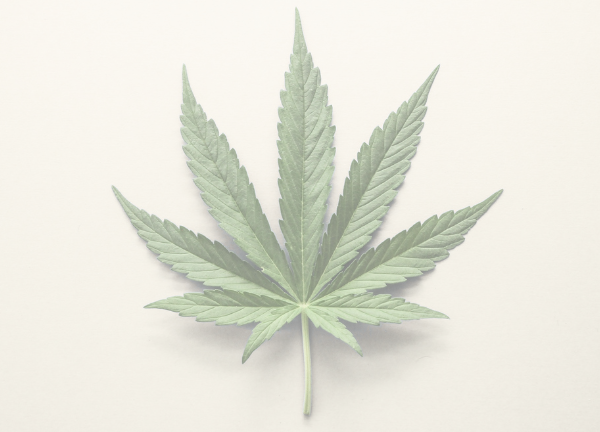 Medizinisches Cannabis